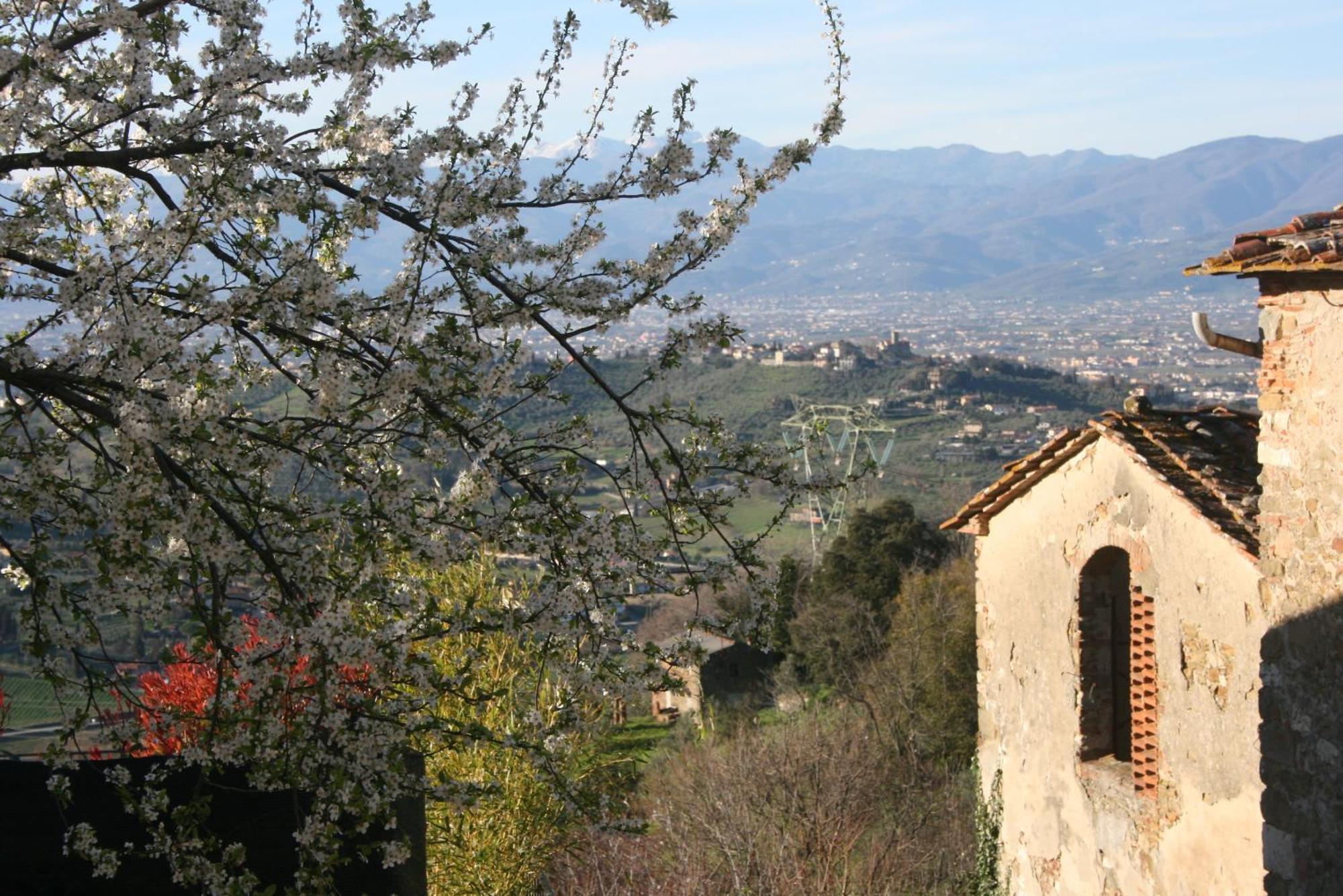 B&B La Rocca Carmignano Exterior foto